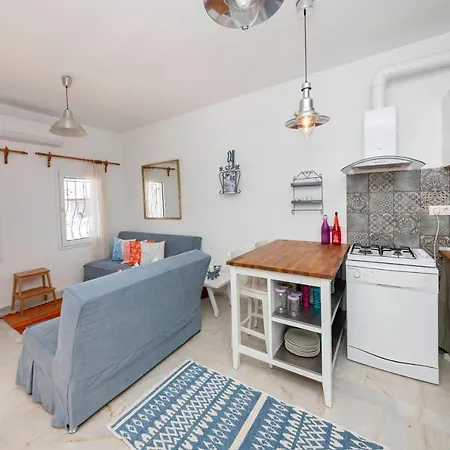 Pleasant Building Of 2 Apartments With Fascinating Sea View And Garden In Bodrum 빌라